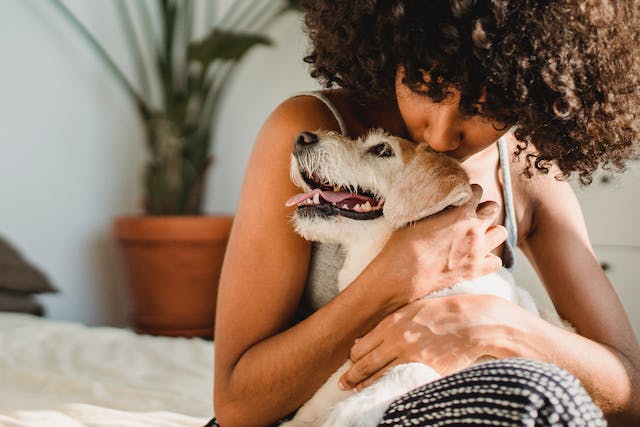 a tenant in bed with their small white dog